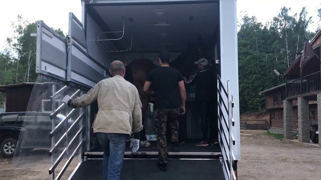 Фургон для перевозки лошадей смотреть онлайн