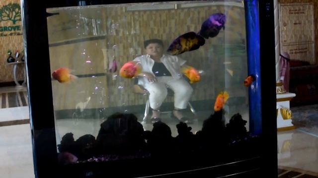 ОАЭ. Стоимость аренды авто в Рас Эль Хайме. смотреть онлайн