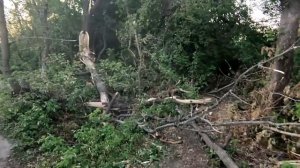 Падение ил-76. Рязань 24.06.2022