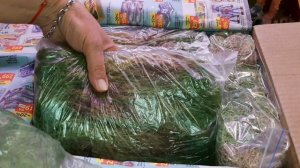 Новогодняя Посылка с Живой Мох Сфагнум от Светланы Целиковой