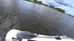 Как поймать рыбу. 100% результат. Рыбалка на ультралайт