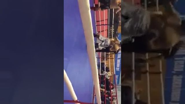 Абусуфьян Чубанов чемпионат псковской области по мма смотреть онлайн