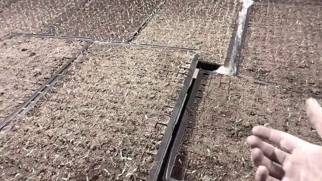 Минус посева перца в касеты смотреть онлайн