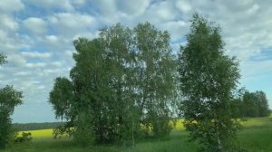 297. ♫.. _Доброта_ - Валентина Толкунова и Владимир Мигуля