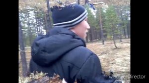 Как найти матку для муравьев