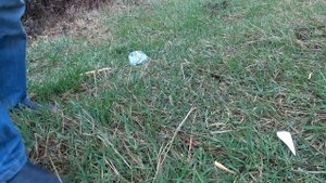 Действительно Лесной нож , Forester Kizlyar Supreme !