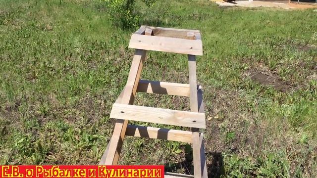 Как ухаживать за хвойными деревьями чтоб они прижились все от А до Я.Правильный уход за хвойными.