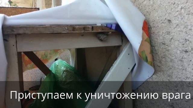 Как уничтожить осиное гнездо с помощью WD-40 смотреть онлайн
