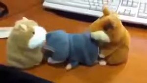 Хомяки занимаются любовью