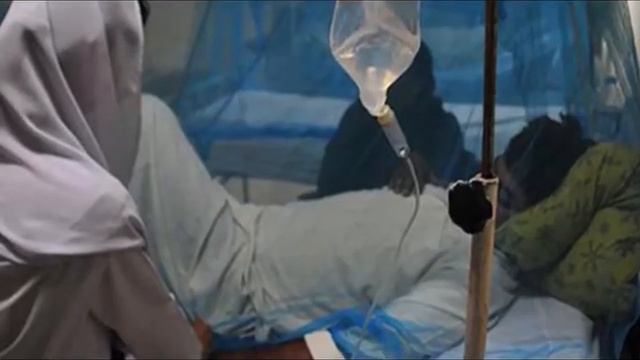 Nipah Virus Outbreak , What Are The Causes of Nipah Virus ? , Nipah Virus Diseases Infection , Nipa