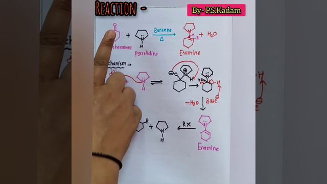 Enamine Reaction🧪 #Stork Enamine Reaction ✍️📚💯🔥