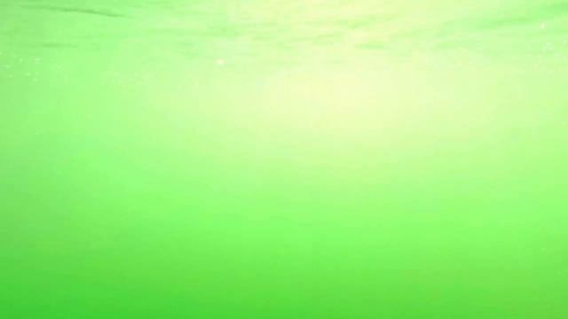 GoPro Челябинск, Вознесенка смотреть онлайн