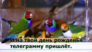 ЗА РЕКОЙ НЕПОГОДА - КАРАОКЕ ПОД БАЯН - ТОЛЬКО ТЫ МОЯ МАМА ЖИВИ !