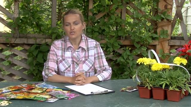Дизайн цветников. Правила подбора цветов для цветника.Часть 1