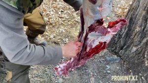 Разделка дичи - козерога.