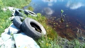 Снова чудо- огоРОД:)