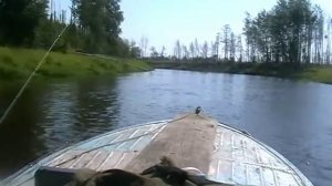 Вагиль 2012.