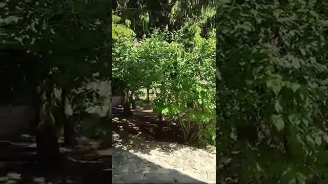 Загадка с подвохом от Тараса 🤔 Ответ 1 смотреть онлайн