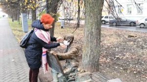 ВЕЛИКИЙ НОВГОРОД Что посмотреть? Интересные места и достопримечательности   Часть первая