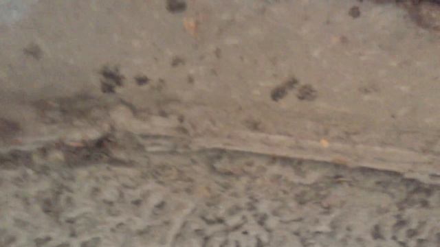 Mercedes-Benz Sprinter 313 2003 Подкрылок 1