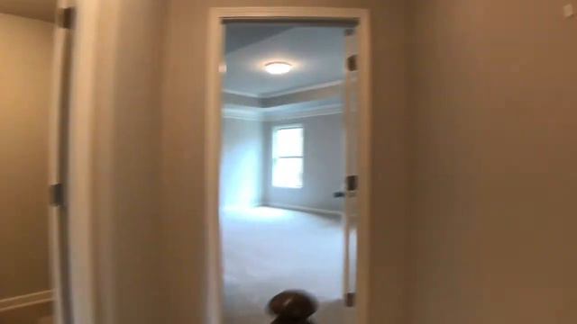 Great Sky | Savannah II B | Lot 124 смотреть онлайн