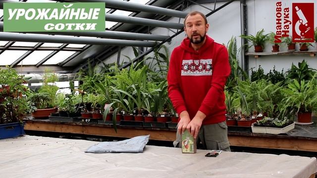 Давайте разберемся. Кокосовый субстрат или торф? А, может, перлит и диатомит? Что лучше? смотреть онлайн