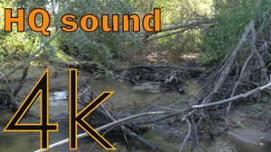 Река Заячья красиво журчит (4K, HQsound)
