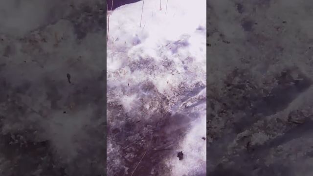 "СТАЛК" ЗАБРОШКИ (1ЧАСТЬ) смотреть онлайн