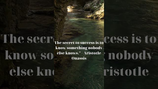 The secret to success is to know something nobody else knows    Aristotle Onassis