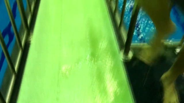 Зачем прыгуну мокрое полотенце. смотреть онлайн