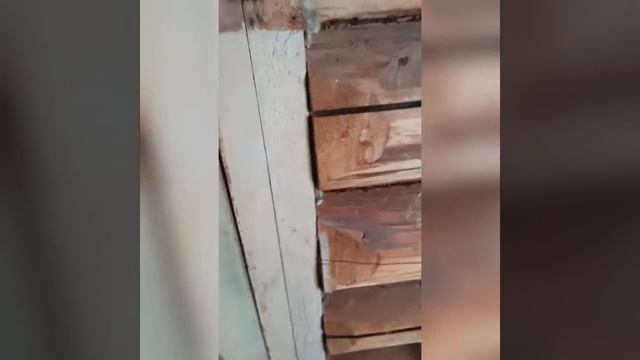 Крещенские гадания и Русская баня!