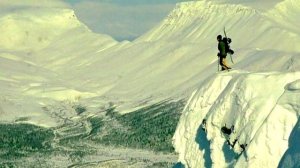 БЎРИЛАР Ярадор Бўрини Ташлаб Кетишмади тасирли хикоя бурилар хакида