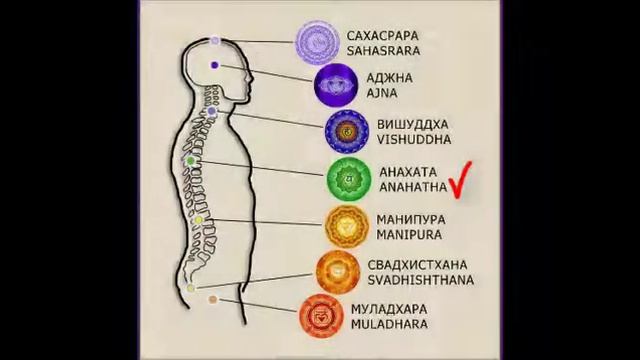 Матрица Гаряева Чакры 174Гц, 285Гц, 396Гц, 417Гц, 528Гц, 639Гц, 741Гц смотреть онлайн