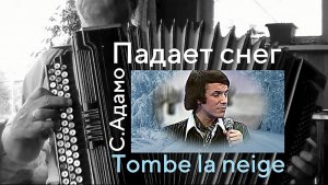 Tombe la neige - Падает снег (Адамо, 1964) - на баяне