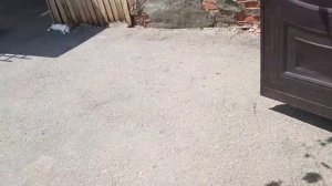 Vlog: с 3 КУКЛАМИ РЕБОРН ??? стирка, кормления, Алиса упала.