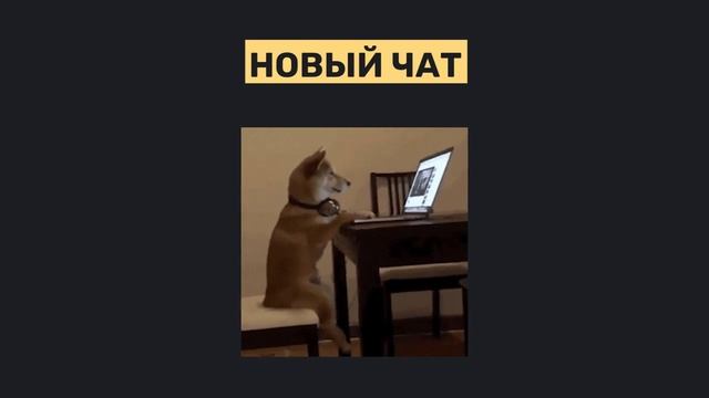 Как составлять запросы ChatGpt??