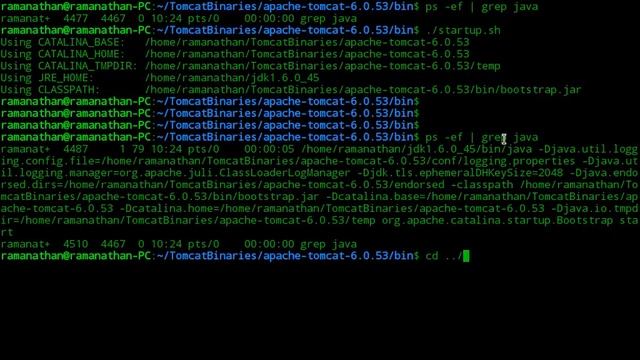 How to install and configure Apache Tomcat 6.0.53 in Deepin Linux 15.4 смотреть онлайн