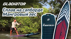 Сплав в Мангровый лес на SUP-борде Gladiator