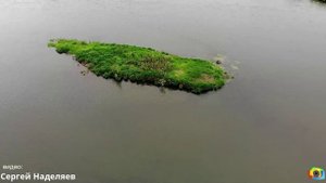 Яя - поселок мой родной!