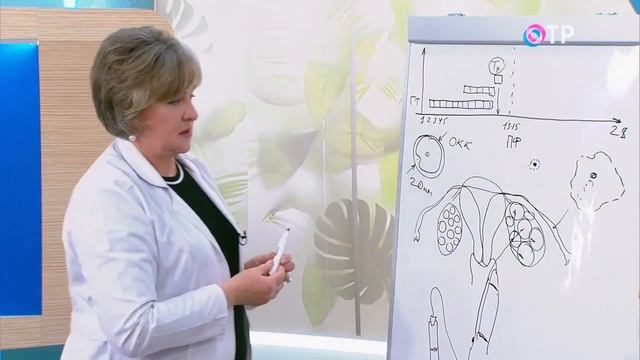 Все, что нужно знать о процедуре ЭКО!