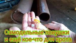 Как быстро и легко, избавиться от всех кротов на своём участке.