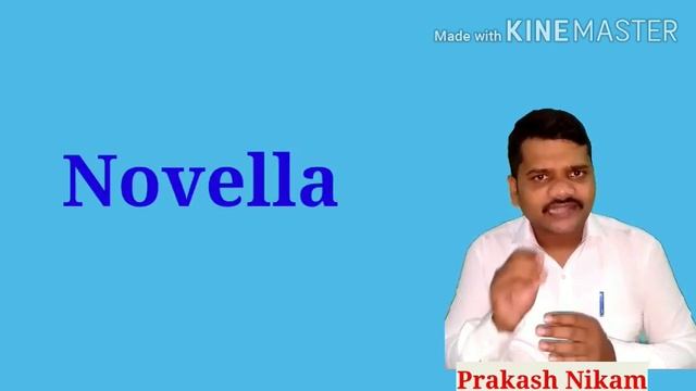 Elements of Novel हिंदी में смотреть онлайн