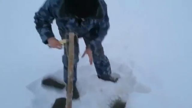 Змееголов рыбалка зимняя
