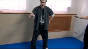 Обучение Ушу. Школа Ушу для Начинающих (Wushu)