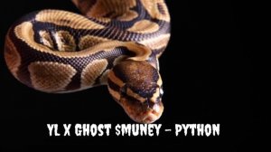 YL x Grim Smuney - Python