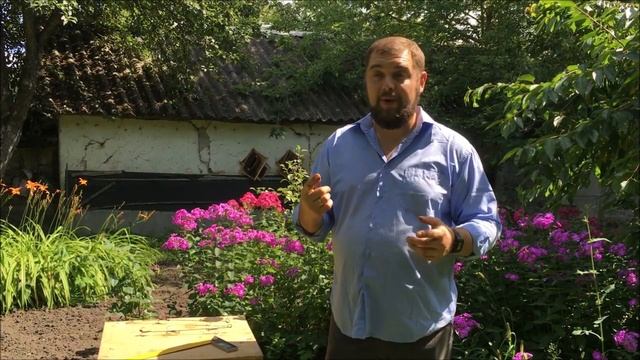 Как избавиться от слепуха/слепыша на своем дачном участке? Проверенный лично метод ловли на крючки смотреть онлайн