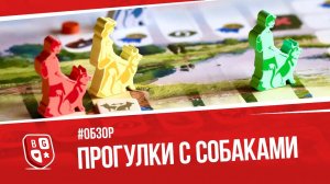 Обзор настольной игры Прогулки с собаками