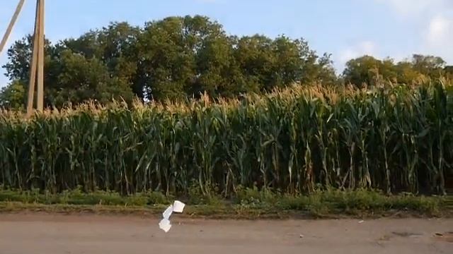 Летающая игрушка из бумаги за две минуты . A flying toy made of paper in two minutes. смотреть онлайн