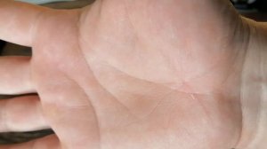 РЕМОНТ ДОМРЫ I ДОМРА ПРИМА I 3 СТРУНЫ I Ч.1