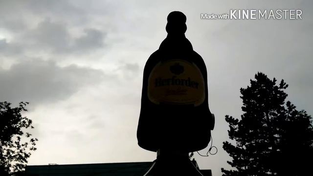 Германия, Марафон-2,5 км, 25 мая 2016 смотреть онлайн